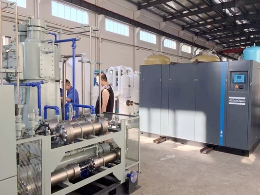 China Customized Nitrogen PSA Production Plant Nitrogen Generating System High Pressure supplier